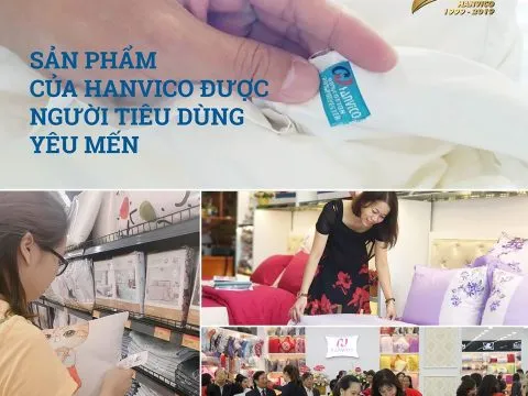 Sản phẩm 16 480x360 — Hanvico - Công Ty TNHH Hàn Việt — MST 0100955275