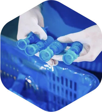 Sản phẩm Polygon 3 — Bao Bì Đức Tấn Sài Gòn - Công Ty TNHH Đức Tấn Sài Gòn — MST 0100956705