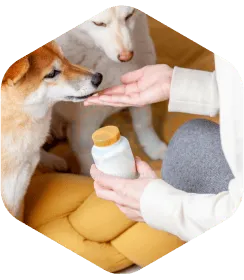 Sản phẩm Thu y 1 — Bao Bì Đức Tấn Sài Gòn - Công Ty TNHH Đức Tấn Sài Gòn — MST 0100956705