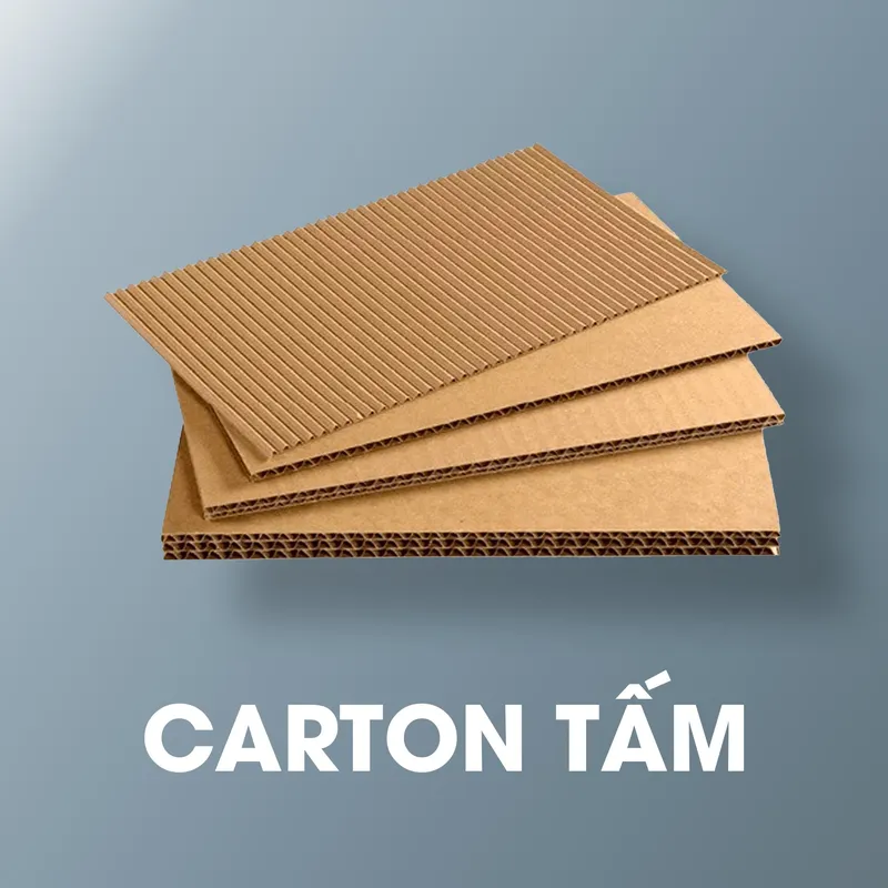 Sản phẩm cARTON TAM — Công Ty TNHH Trần Thành — MST 0100960807