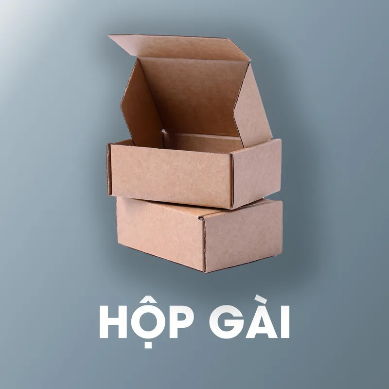 Sản phẩm hop gai 1 — Công Ty TNHH Trần Thành — MST 0100960807
