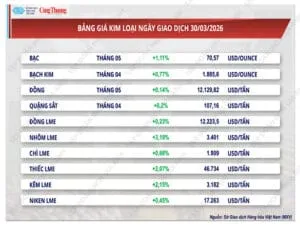 Sản phẩm thi truong kim loai 310326 300x225 — Công Ty Cổ Phần Gia Anh — MST 0100968588