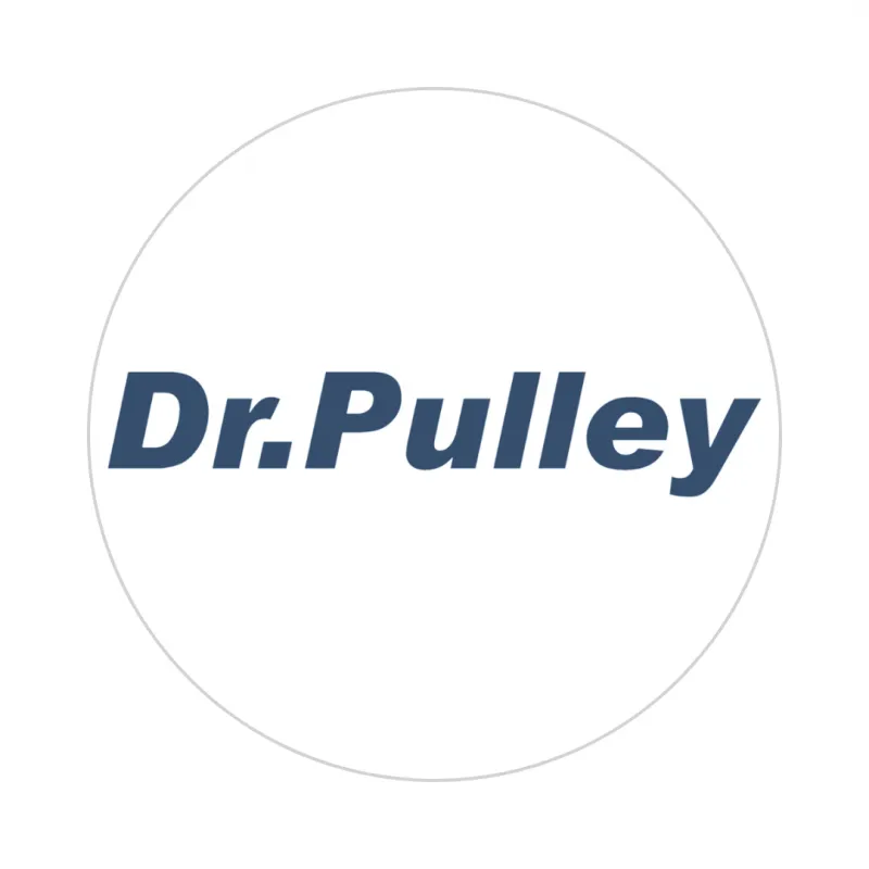 Sản phẩm dr pulley — Công Ty TNHH Thương Mại Và Kỹ Thuật Tân Liên Minh — MST 0100987083