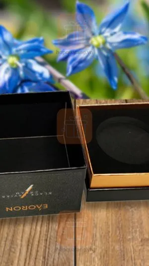 Sản phẩm Hop my pham 2 1 300x533 — Công Ty TNHH Thương Mại Và Du Lịch Long Hưng — MST 0100989669
