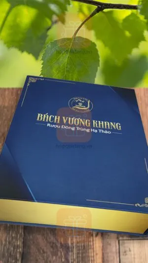 Sản phẩm hop bach vuong khang 300x533 — Công Ty TNHH Thương Mại Và Du Lịch Long Hưng — MST 0100989669