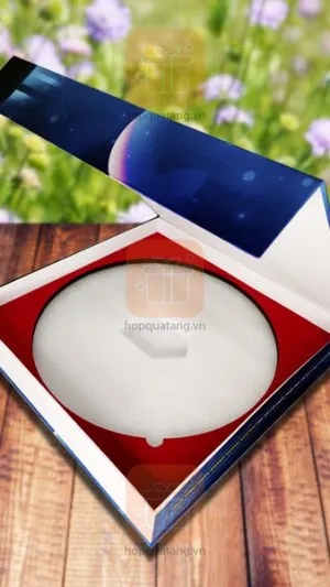 Sản phẩm hop dong ho treo tuong 2 300x533 — Công Ty TNHH Thương Mại Và Du Lịch Long Hưng — MST 0100989669