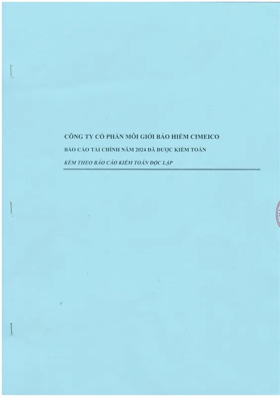 Sản phẩm BCKT_2024 images 0 — Công Ty TNHH Kiểm Toán CIMEICO — MST 0101032368