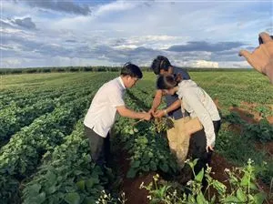 Sản phẩm pic News _638041248992896606_HasThumb_Thumb — Công Ty Cổ Phần Sản Xuất Và Xuất Nhập Khẩu Việt Phúc — MST 0101108419