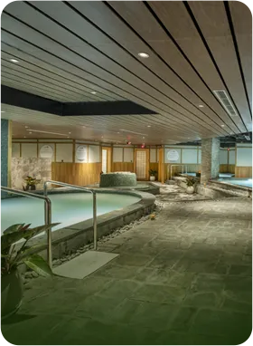 Sản phẩm onsen — Công Ty Cổ Phần Tập Đoàn Flamingo — MST 0101117565