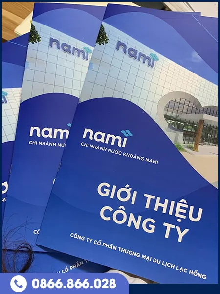 Sản phẩm catalogue (2) — In Ấn Thắng Lợi - Công Ty TNHH In Bao Bì Thắng Lợi — MST 0101119072