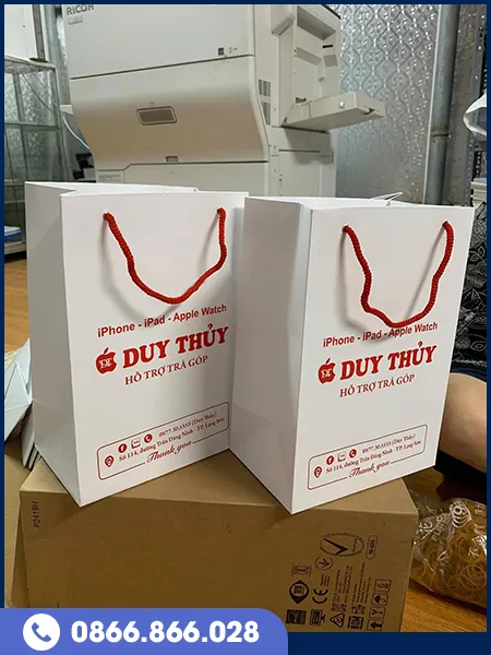 Sản phẩm tui giay (2) — In Ấn Thắng Lợi - Công Ty TNHH In Bao Bì Thắng Lợi — MST 0101119072