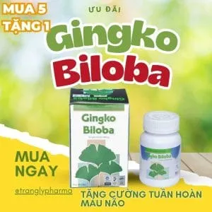 Sản phẩm gingko biloba 60 vien 300x300 — Thực Phẩm Chức Năng Trang Ly - Công Ty TNHH Thương Mại Dược Phẩm Trang Ly — MST 0101149091