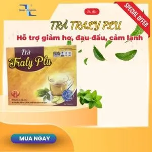 Sản phẩm tra traly plu 10 tui 300x300 — Thực Phẩm Chức Năng Trang Ly - Công Ty TNHH Thương Mại Dược Phẩm Trang Ly — MST 0101149091