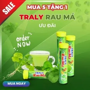 Sản phẩm traly rau ma 20 vien sui 300x300 — Thực Phẩm Chức Năng Trang Ly - Công Ty TNHH Thương Mại Dược Phẩm Trang Ly — MST 0101149091