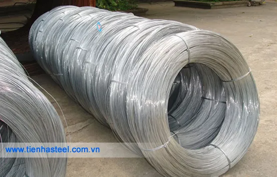 Sản phẩm day thep ma bong — Công Ty Cổ Phần Tiến Hà — MST 0101157399
