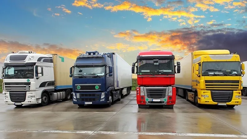 Sản phẩm van chuyen hang hoa Ho Chi Minh Binh Thuan 1 — Công Ty TNHH TM Và Vận Tải Minh Thành — MST 0101184177