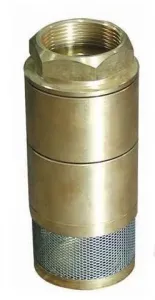 Sản phẩm cho day be foot valve  — Công Ty TNHH Thiết Bị Phụ Tùng Chuyên Dùng Xăng Dầu — MST 0101184353