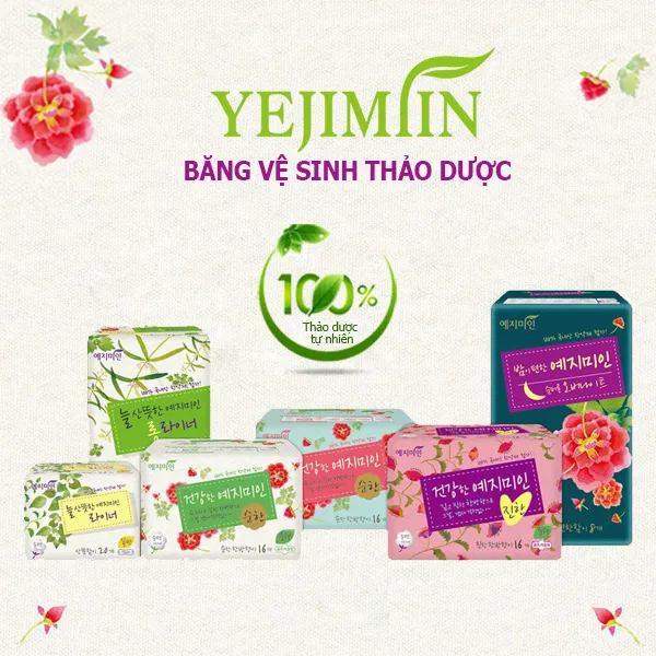 Văn phòng Công Ty TNHH Thương Mại Phú Gia #162 — MST 0101201094