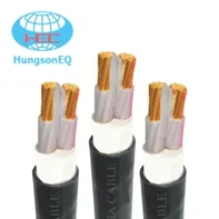 Sản phẩm cap ngam tran phu DSTA 2x70 — Hùng Sơn - Công Ty TNHH Thiết Bị Điện Hùng Sơn — MST 0101244242