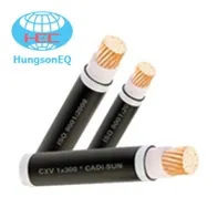 Sản phẩm day cap dien tran phu cap dong treo CXV 1x50 — Hùng Sơn - Công Ty TNHH Thiết Bị Điện Hùng Sơn — MST 0101244242