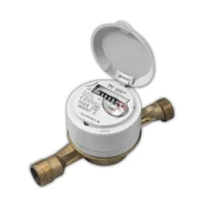 Sản phẩm AURIGA DN15 20 300x300 — Công Ty TNHH Quốc Tế Song Thanh — MST 0101252211