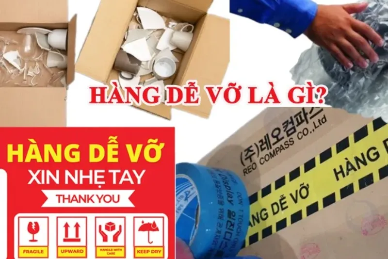 Sản phẩm hang de vo — Công Ty CP TM Và Vận Tải Quốc Tế Tân Cả Lợi — MST 0101304558