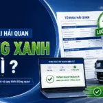 Sản phẩm to khai hai quan luong xanh la gi 5 150x150 — Công Ty CP TM Và Vận Tải Quốc Tế Tân Cả Lợi — MST 0101304558