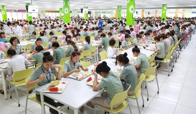 Sản phẩm suat an cong nghiep — Công Ty TNHH Thương Mại Dịch Vụ Sản Xuất Sao Thiên Hà — MST 0101326551