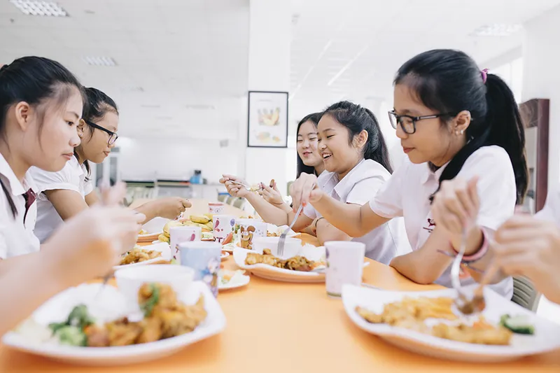 Sản phẩm suat an truong hoc — Công Ty TNHH Thương Mại Dịch Vụ Sản Xuất Sao Thiên Hà — MST 0101326551