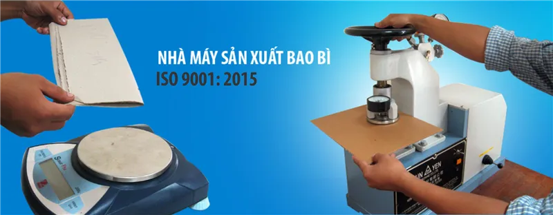 Sản phẩm 03 — Công Ty Cổ Phần Viepac — MST 0101343028