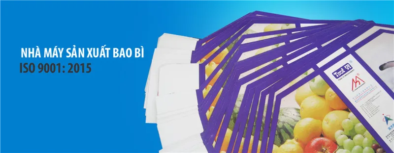 Sản phẩm 04 — Công Ty Cổ Phần Viepac — MST 0101343028