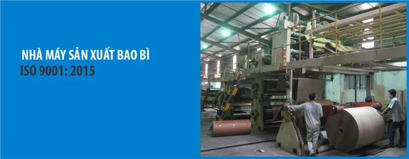 Sản phẩm 05 — Công Ty Cổ Phần Viepac — MST 0101343028