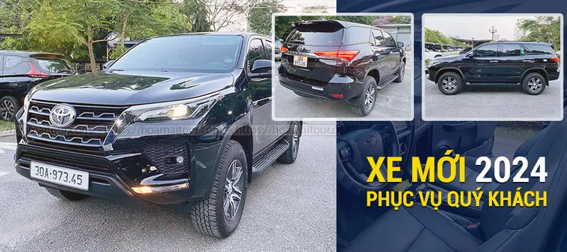 Sản phẩm tai xe lai xe gioi hoa mai — Công Ty Đầu Tư Thương Mại & Du Lịch Hoa Mai — MST 0101350113