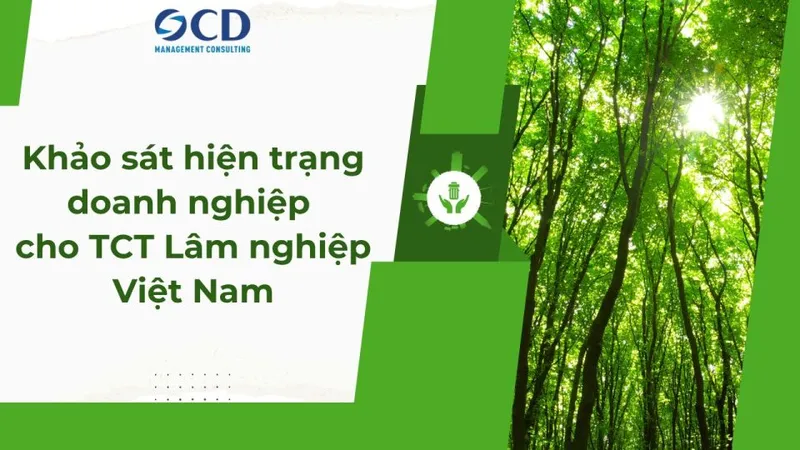 Sản phẩm Green And White Modern Professional Corporate Social Responsibility Presentation 1280 x 720 px compressed 960x540 — Công Ty CP Tư Vấn Quản Lý OCD — MST 0101362912