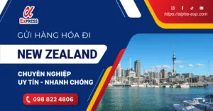 Sản phẩm New zealand 23 05 22 01 1 300x156 — Công Ty Cổ Phần Vận Tải Và Chuyển Phát Nhanh An Pha — MST 0101371265