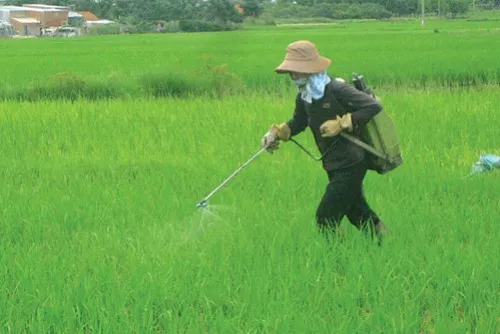 Sản phẩm baovethucvat 2904 1417682593 — Hóa Chất Công Nghiệp Ngọc Việt - Công Ty TNHH Hoá Chất Ngọc Việt — MST 0101383888