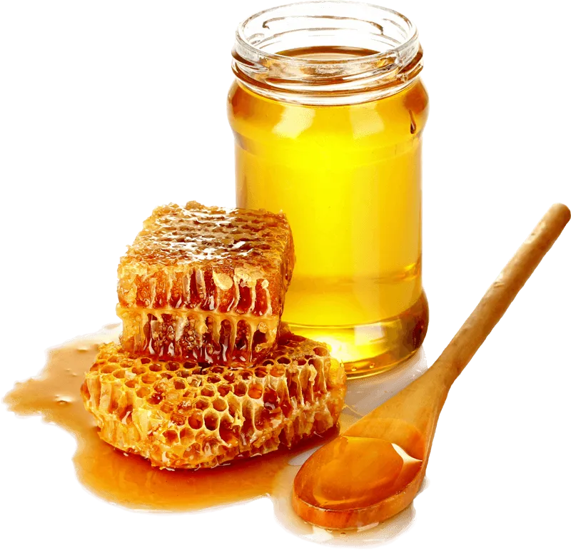 Sản phẩm pngegg 1 — Mật Ong Hoa Bốn Mùa - Hộ Kinh Doanh Cơ Sở Mật Ong Hoa Bốn Mùa — MST 0101406750