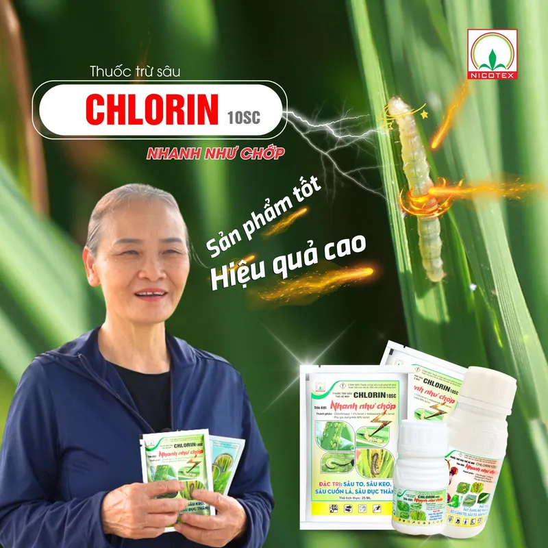 Sản phẩm 488179868_1225809359153832_1521517574957047487_n — Công Ty Cổ Phần Nicotex — MST 0101406944