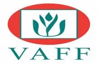 Sản phẩm VAFF e1590555737676 — Công Ty TNHH Tư Vấn Y Dược Quốc Tế (IMC) — MST 0101424904