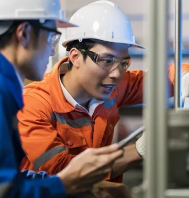 Sản phẩm image 137 — Công Ty Cổ Phần Sản Xuất và Thương Mại P.P — MST 0101437981