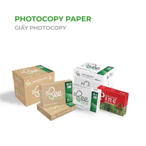 Sản phẩm GIAY PHOTOCOPY 1 300x300 — Công Ty Cổ Phần Sản Xuất và Thương Mại P.P — MST 0101437981