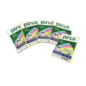 Sản phẩm Pinus 300x300 — Công Ty Cổ Phần Sản Xuất và Thương Mại P.P — MST 0101437981