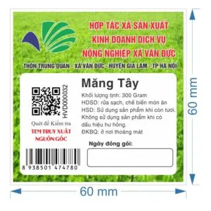 Sản phẩm Mang_tay 300x300 — Công Ty TNHH In Nam Hải — MST 0101445767