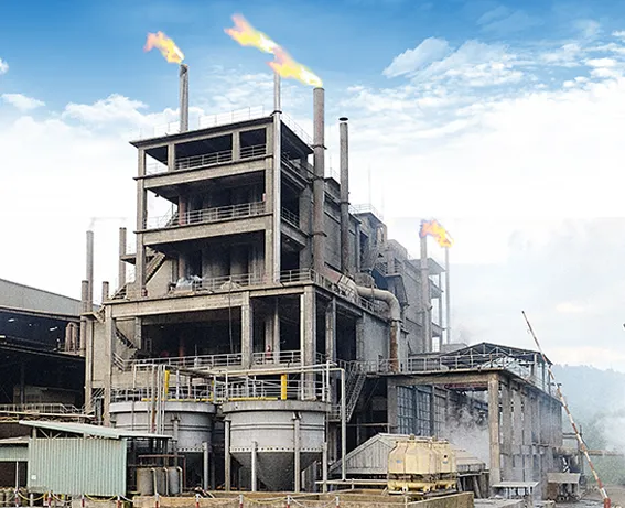 Nhà máy Công Ty Cổ Phần Tập Đoàn Hóa Chất Đức Giang #? — MST 0101452588