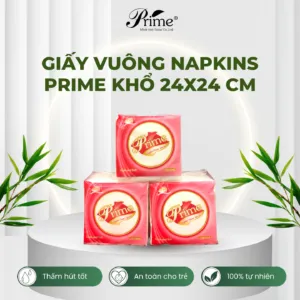 Sản phẩm 17 300x300 — Khăn Giấy Minh Anh - Công Ty TNHH Thương Mại và Đầu Tư Minh Anh — MST 0101485128