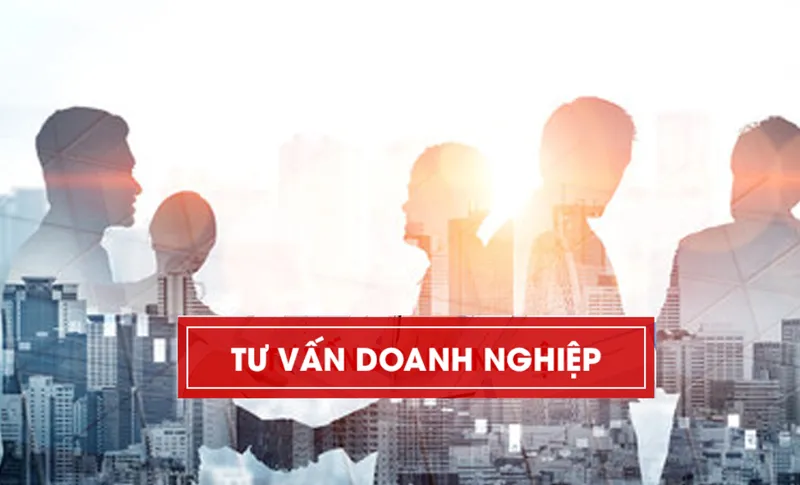 Sản phẩm slmb6 — Công Ty TNHH Sở Hữu Trí Tuệ VIPATCO — MST 0101530282