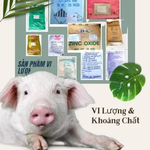 Sản phẩm 265796997_156717970012305_3413404663484188154_n 300x300 — Hóa Chất Khang Vinh - Công Ty Cổ Phần Khang Vinh — MST 0101560174