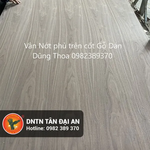 Sản phẩm cot Go dan phu Veneer Oc cho — Doanh Nghiệp Tư Nhân Tân Đại An — MST 0101561594