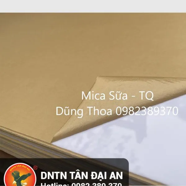 Sản phẩm mi ca trung quoc — Doanh Nghiệp Tư Nhân Tân Đại An — MST 0101561594