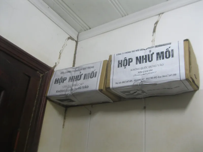 Sản phẩm Duong moi di vao hop bay nhu moi scaled — Công ty TNHH Phòng trừ Mối và Khử trùng - Terpestco (Since 1997) — MST 0101580798